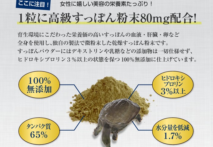 もちもちすっぽんコラーゲン１００円